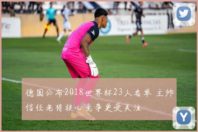 德国公布2018世界杯23人名单 主帅信任老将核心竞争更受关注