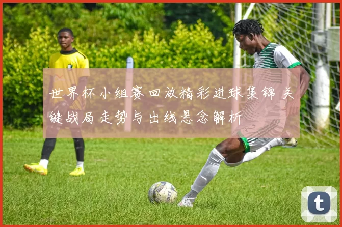 世界杯小组赛回放精彩进球集锦 关键战局走势与出线悬念解析
